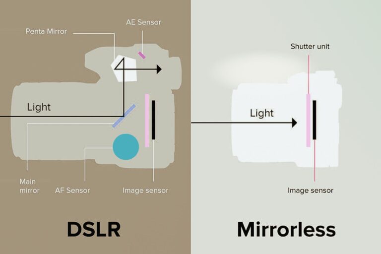 DSLR vs MirrorlessS - SoulensWay – Travel, Photography Tips & Gear